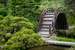 Next Image: Moon Bridge - Japanese Tea Garden