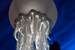 Next Image: Giant Jellyfish (T-Rex restaurant)