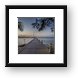 Buy Framed Print