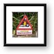 Check for sleeping iguanas under your wheels Framed Print
