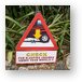 Check for sleeping iguanas under your wheels Metal Print