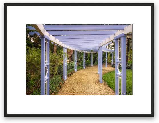Pergola along the path in Queen Elizabeth II Botanic Park Framed Fine Art Print