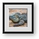 Buy Framed Print