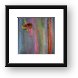 Colorful Rainbow Gum (Eucalyptus) Bark Framed Print