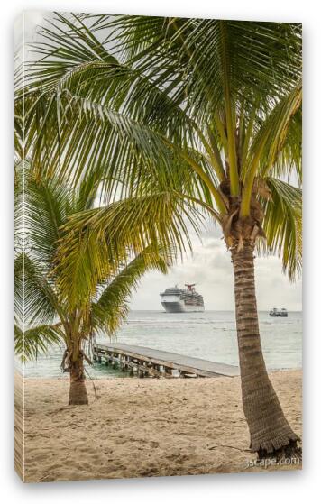 Cruise Ship near Spotts Beach Fine Art Canvas Print