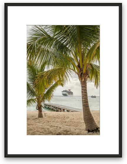 Cruise Ship near Spotts Beach Framed Fine Art Print