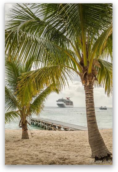 Cruise Ship near Spotts Beach Fine Art Print