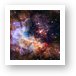 Westerlund 2 - Hubble 25th Anniversary Image Art Print