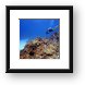 Diving Turtle Schooner Reef in Grand Cayman Framed Print