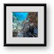 Buy Framed Print