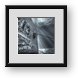 Buy Framed Print