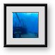 Buy Framed Print
