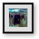 Buy Framed Print
