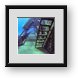 Buy Framed Print