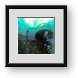 Buy Framed Print