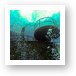 USS Kittiwake wreck dive Art Print