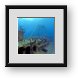 Buy Framed Print