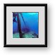 Buy Framed Print