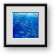 Buy Framed Print