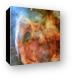 Light and Shadow in the Carina Nebula Canvas Print
