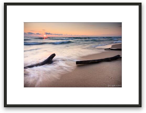 Driftwood on the Beach Framed Fine Art Print