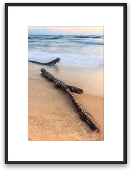 Lake Michigan Beach Driftwood Framed Fine Art Print