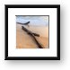 Lake Michigan Beach Driftwood Framed Print