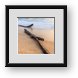 Buy Framed Print