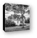 This Old House - Black and White Canvas Print