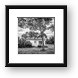 This Old House - Black and White Framed Print