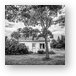 This Old House - Black and White Metal Print
