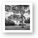This Old House - Black and White Art Print