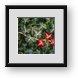 Buy Framed Print