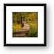 Lost Lake Trail, Ludington State Park Framed Print