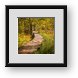 Buy Framed Print