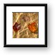 Fall Leaves in the Water Framed Print