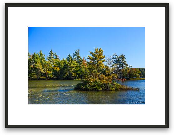 Hamlin Lake Framed Fine Art Print