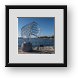Buy Framed Print