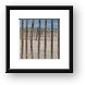 Beach Erosion Fencing Framed Print
