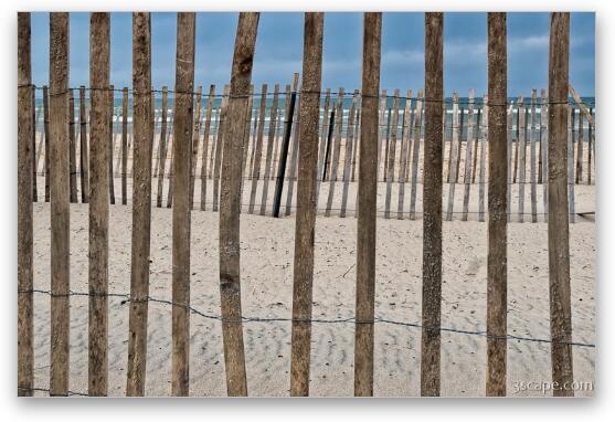 Beach Erosion Fencing Fine Art Metal Print