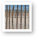 Beach Erosion Fencing Art Print