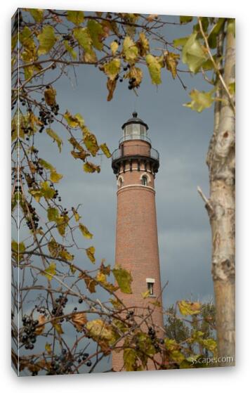 Fall Leaves around Little Sable Point Lighthouse Fine Art Canvas Print