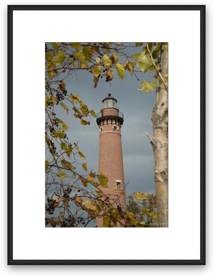 Fall Leaves around Little Sable Point Lighthouse Framed Fine Art Print