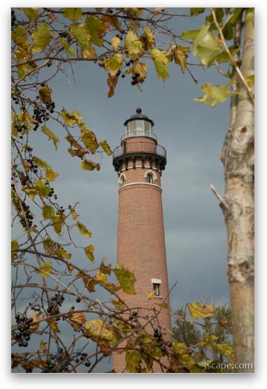 Fall Leaves around Little Sable Point Lighthouse Fine Art Metal Print
