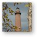 Fall Leaves around Little Sable Point Lighthouse Metal Print