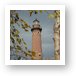 Fall Leaves around Little Sable Point Lighthouse Art Print