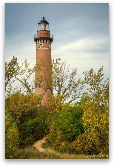 Trail to Little Sable Point Lighthouse Fine Art Metal Print