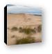 Silver Lake Sand Dunes Panoramic Canvas Print