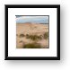 Silver Lake Sand Dunes Panoramic Framed Print