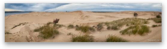 Silver Lake Sand Dunes Panoramic Fine Art Metal Print